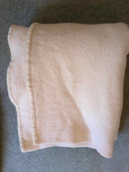 Photo of free Woolen Blanket (Guildford GU2) #1