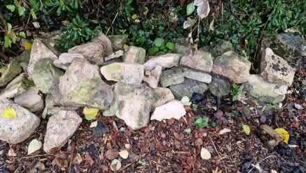 Photo of free Cotswold stone. (Oldends Farm GL10) #2