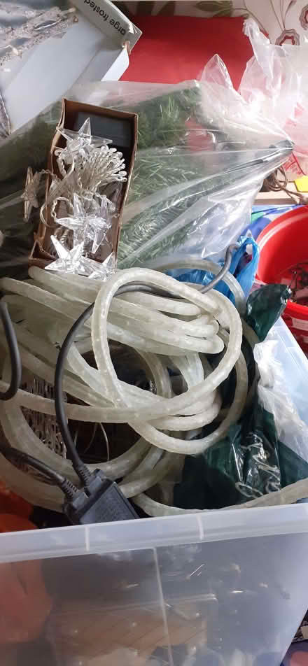 Photo of free Christmas lights (Beulah Hill CR7) #2