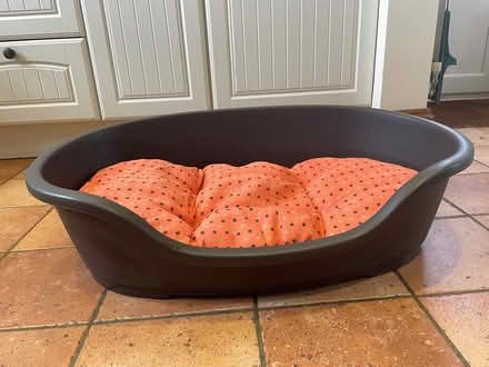 Photo of free Bed for medium sized dog (Maldon CM9) #1