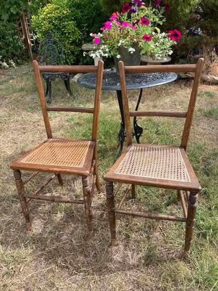 Photo of free Chairs (Leckhampton GL53) #1