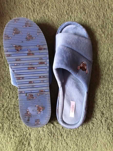 Photo of free Slippers 7 (Lancaster, Skerton) #1