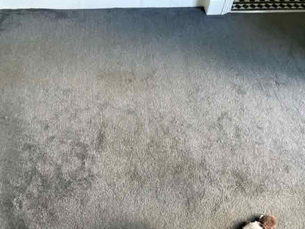 Photo of free Carpet good condition (Swavesey) #1