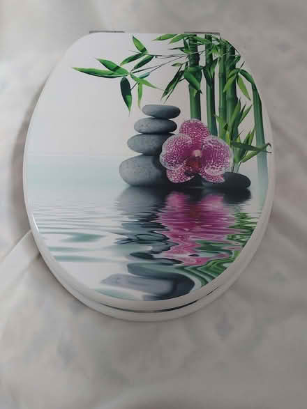 Photo of free Toilet seat (Hastings TN34) #2