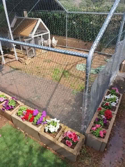 Photo of Hollow Concrete Blocks Cinder Blocks (Huntingdon PE29) #1