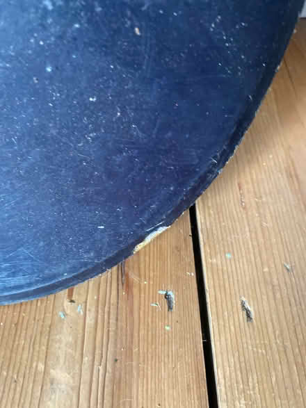 Photo of free Salomon Snowboard (Bridgwater) #2