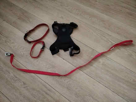 Photo of free Dog collars & lead (Horeshay) #1
