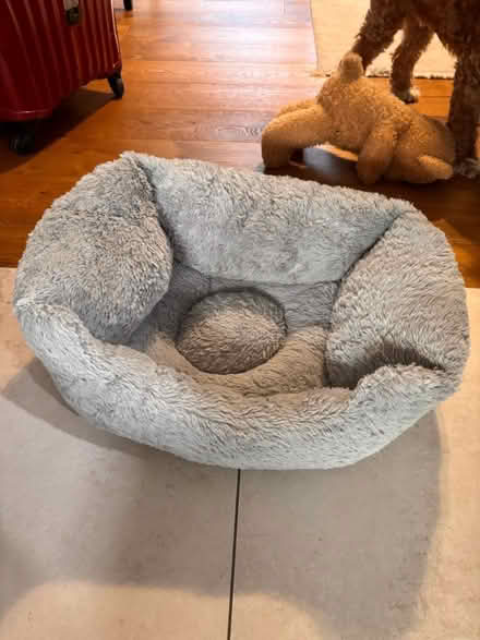 Photo of free Puppy Bed (Tufnell Park N7) #2