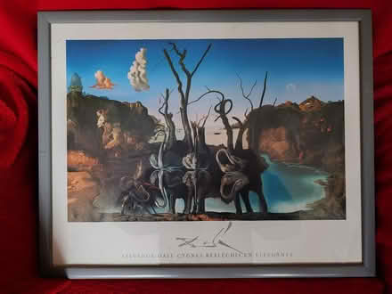 Photo of free Framed Salvador Dali Picture (Salfords RH1) #1