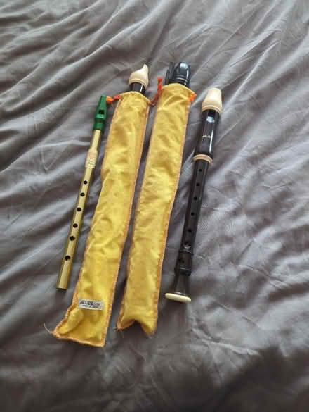 Photo of free There recorders and tin whistle (Stretford) #1