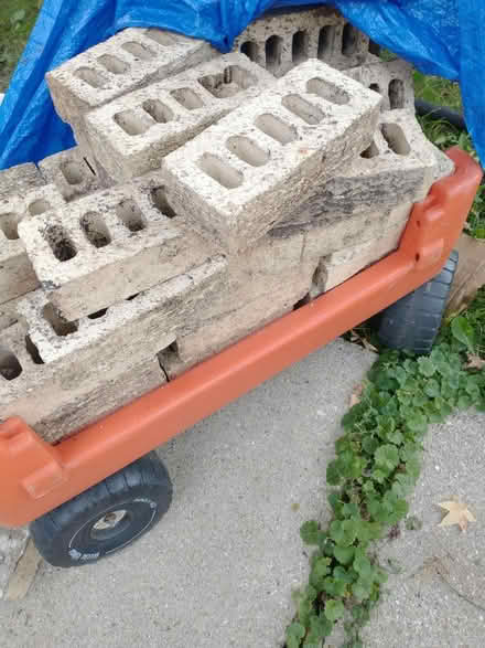 Photo of free 50 bricks and wood (60193) #2