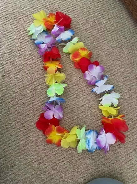 Photo of free Garland for dressing up (Lyncombe) #1