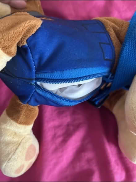 Photo of free Paw patrol teddy/bag (Romford rm1) #2