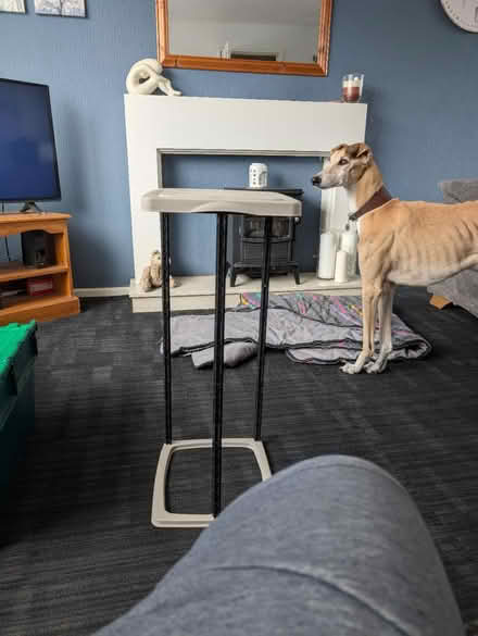 Photo of free Camping bin (Oswaldtwistle) #3