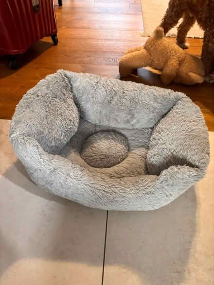 Photo of free Puppy Bed (Tufnell Park N7) #1