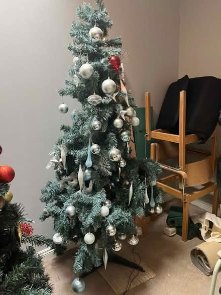 Photo of free Christmas tree (Clonskeagh) #1