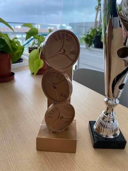 Photo of free 3 trophy’s (Greenwich pensinsula) #3