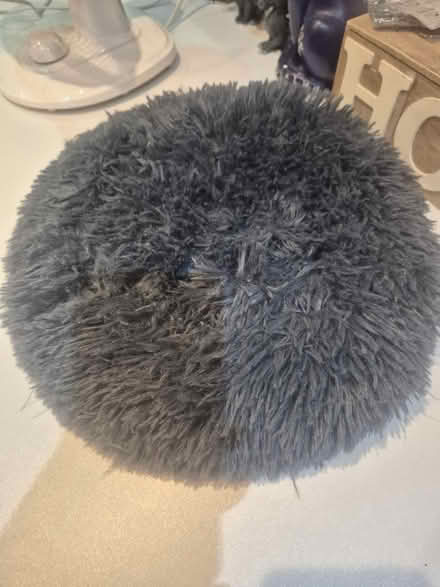 Photo of free Small cat bed (CW7) #1