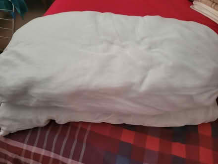 Photo of free to collector (BS24) #1