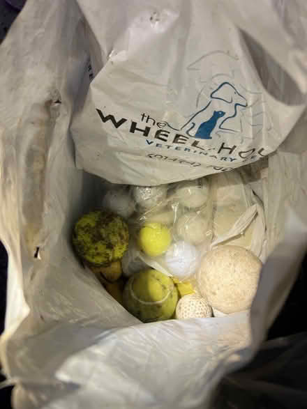 Photo of free Tons of golf balls and maybe some tennis balls (Chartridge HP5) #1