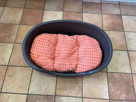 Photo of free Bed for medium sized dog (Maldon CM9) #2