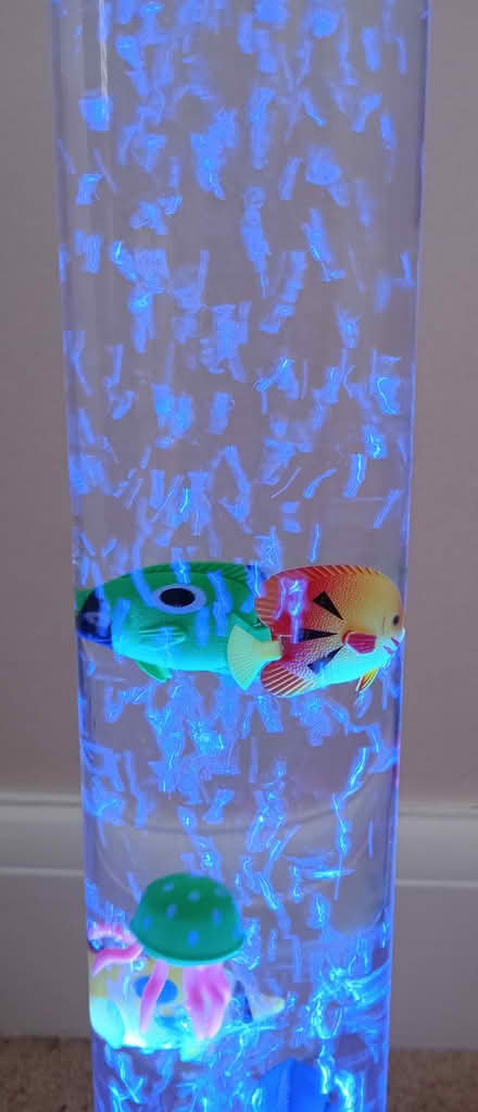 Photo of free Colour Changing Bubble Tube Lamp (Bordesley, Redditch B97) #4