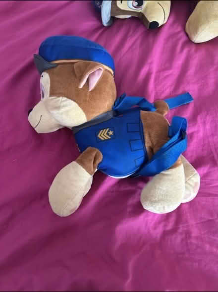 Photo of free Paw patrol teddy/bag (Romford rm1) #1