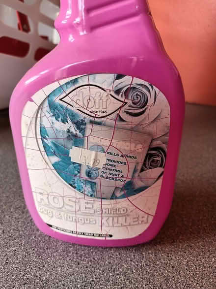 Photo of free Rose bug killer (Kidderminster DY11) #1