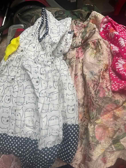 Photo of free Huge Bundle Girls Clothes Age 2/3 (Minehead) #2