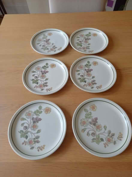 Photo of free M&S Autumn Leaves Crockery (Harrogate HG2) #3