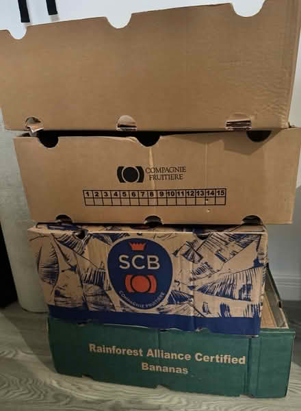 Photo of free 4 banana boxes (Pontefract WF8 area) #1