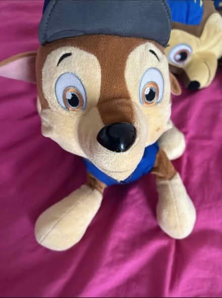 Photo of free Paw patrol teddy/bag (Romford rm1) #3