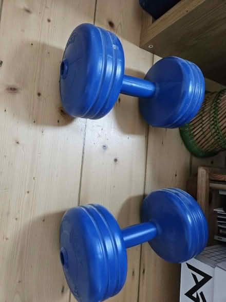 Photo of free 2x 5kg weights (East Oxford, OX4) #1