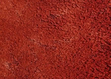 Photo of free Red Mottled carpet (Roebuck area SG2) #1
