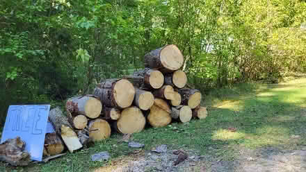 Photo of free Cut wood (Carleton Place) #1