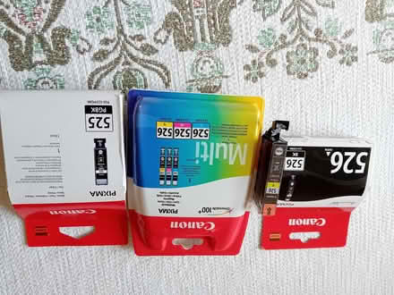 Photo of free Canon Printer Inks (Easthampstead RG12) #1