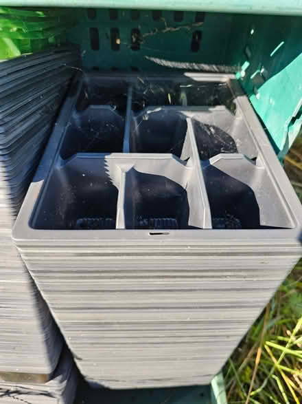 Photo of free Seed trays (Wolfhill PH2) #1