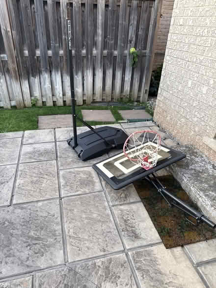 Photo of free Youth basketball net (Dundas and Eighth line) #1