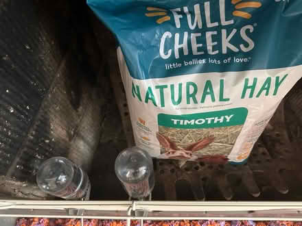 Photo of free guinea pig cage & supplies (Adams Morgan) #4