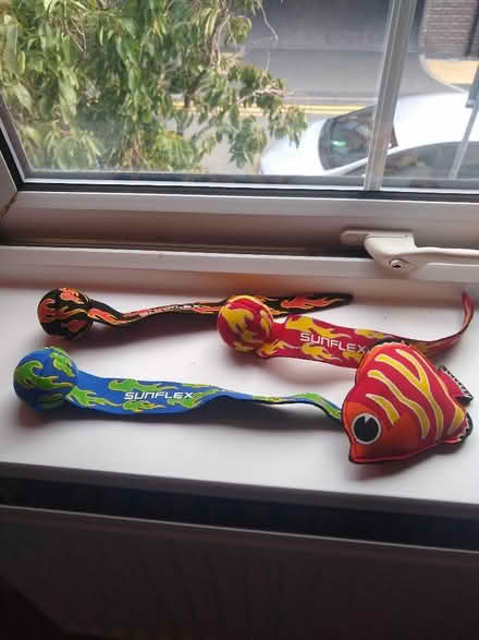 Photo of free Set of 4 Sunflex swimming toys (Newtown RG1) #1