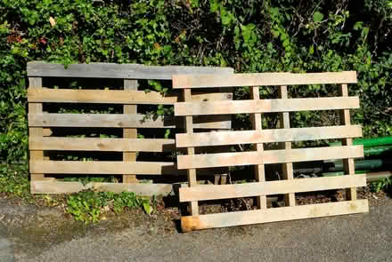 Photo of free wooden pallets (Whitehill SG4) #1