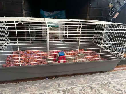 Photo of free guinea pig cage & supplies (Adams Morgan) #2