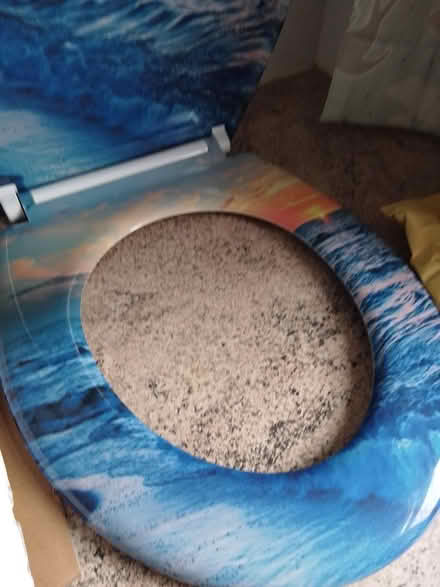 Photo of free Toilet Seat (Shrewsbury) #1