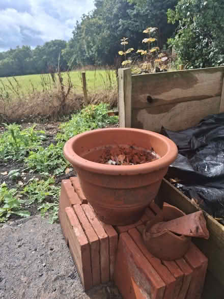 Photo of free For gardeners.... crock bits for pot drainage (Hollywood B47) #2