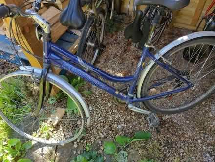 Photo of free ladies bike (Nailsworth GL6) #1