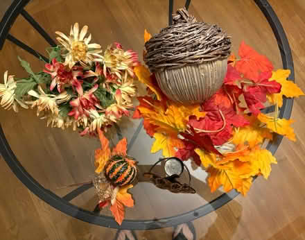 Photo of free Fall is coming (Columbia MD) #1