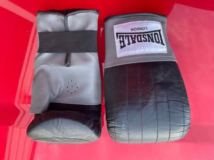 Photo of free Boxing gloves (Bilton HG1) #1