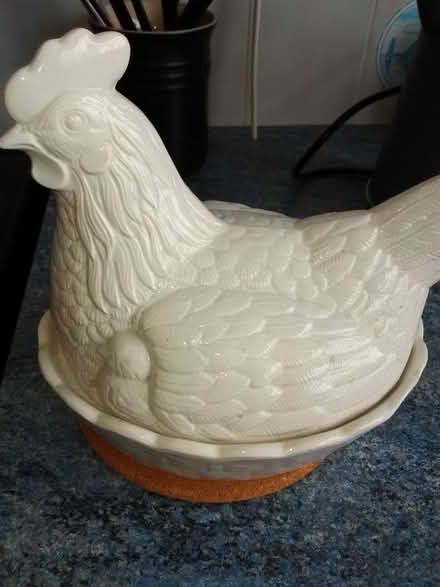 Photo of free China egg hen (Heacham PE31) #1