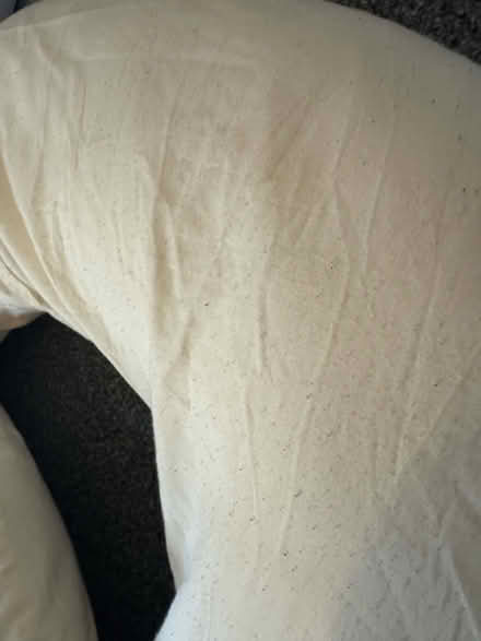 Photo of free Long Pregnancy pillow (Woodlesford, LS26) #3