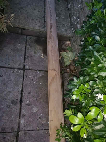 Photo of free Antique pine floorboard (Bussage GL6) #1